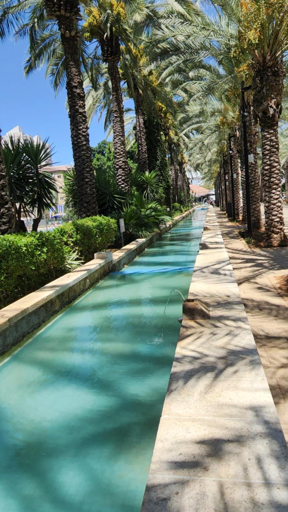 יחידת דיור Apartment Rishon Leziyyon Room photo